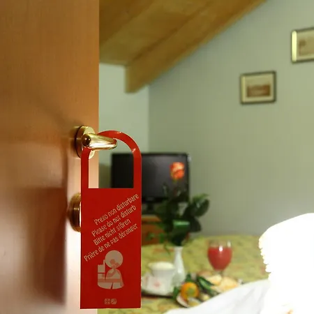 Il Pioniere Villafranca di Verona