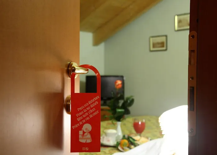 Il Pioniere Villafranca di Verona